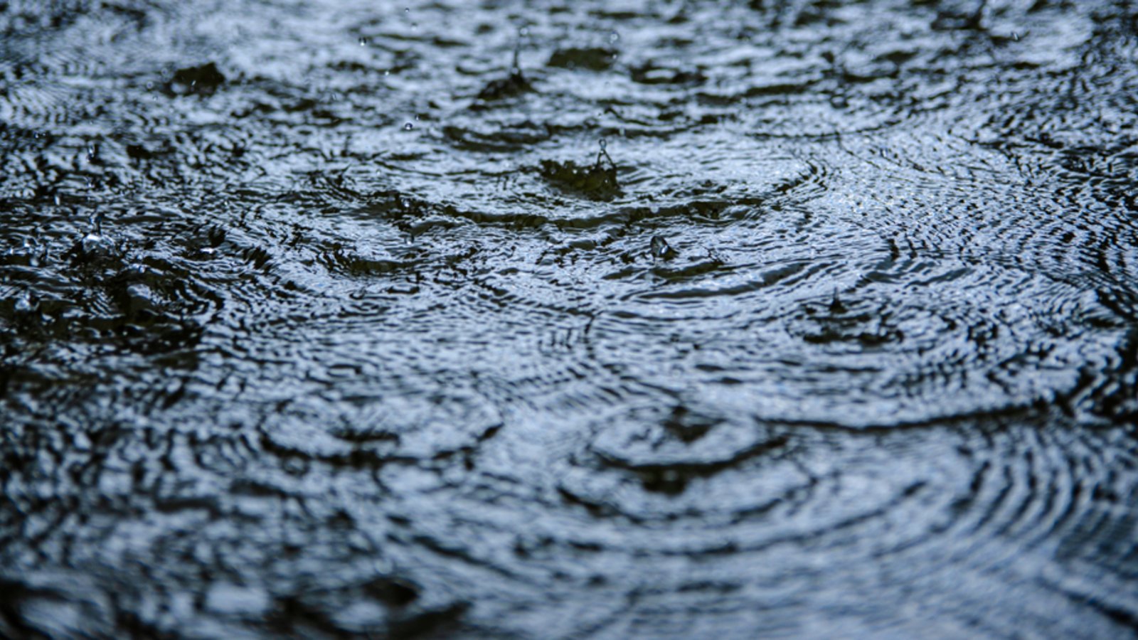 Ein Sturmtief bringt Regen, Sturm und milde Luftmassen nach Deutschland. Was der Deutsche Wetterdienst aktuell meldet und warum es nicht trockener wird.Foto: Cejofoto / Shutterstock.com Ein Sturmtief bringt Regen, Sturm und milde Luftmassen nach Deutschland. Was der Deutsche Wetterdienst aktuell meldet und warum es nicht trockener wird.Foto: Cejofoto / Shutterstock.com