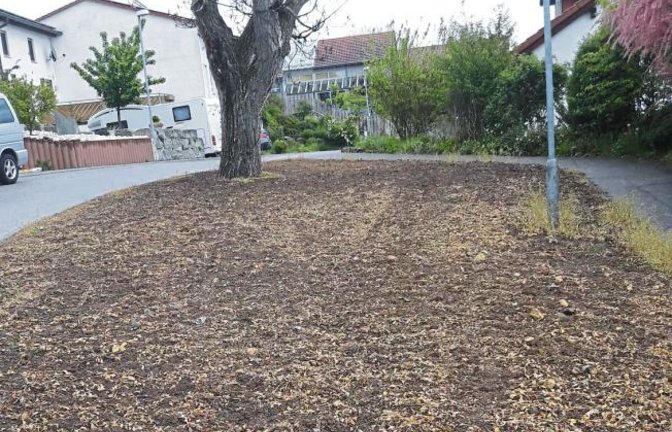 Ach herrje, sind etwa die Blühflächen in Vaihingen auch erfroren? Nein, denn was mal blühen soll, wird erst nach den Eisheiligen eingesät, ist von der Stadt zu erfahren.  sr