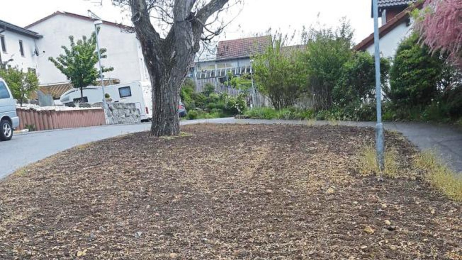 Ach herrje, sind etwa die Blühflächen in Vaihingen auch erfroren? Nein, denn was mal blühen soll, wird erst nach den Eisheiligen eingesät, ist von der Stadt zu erfahren. sr Ach herrje, sind etwa die Blühflächen in Vaihingen auch erfroren? Nein, denn was mal blühen soll, wird erst nach den Eisheiligen eingesät, ist von der Stadt zu erfahren. sr