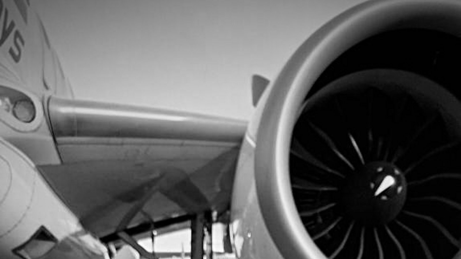 Der Flughafen Bern trauert um Kater Maverick.Foto: Flughafen Bern AG – Bern Airport Der Flughafen Bern trauert um Kater Maverick.Foto: Flughafen Bern AG – Bern Airport