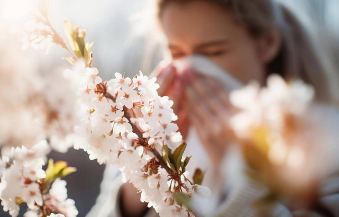 Pollen sind für Allergiker eine Last. (Symbolbild)<span class='image-autor'>Foto: IMAGO/imagebroker/IMAGO/imageBROKER/Firn</span>