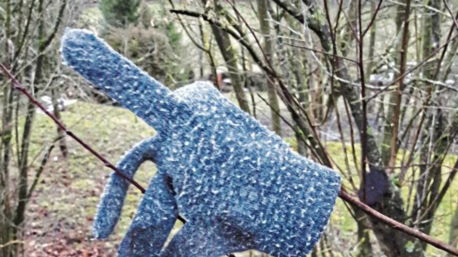 Mit einem Fingerzeig am Wegesrand hofft dieser Handschuh in Aurich auf baldige Zusammenführung mit seinem Pendant. Foto: Rücker Mit einem Fingerzeig am Wegesrand hofft dieser Handschuh in Aurich auf baldige Zusammenführung mit seinem Pendant. Foto: Rücker