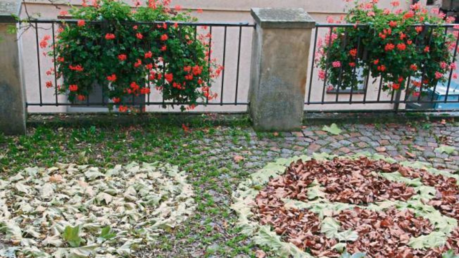 Eine Blätterbotschaft – entdeckt vor der Georgskirche in Oberriexingen.  Foto: Rücker