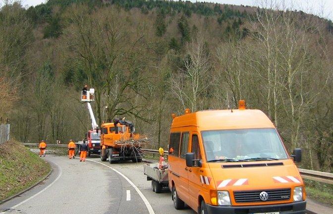 Die Mitarbeiter der Straßenmeisterei sind für die Pflege des Grüns an den Kreis- und Landesstraßen verantwortlich – auch mit Blick auf die Verkehrssicherheit.  <span class='image-autor'>Foto: LE</span>