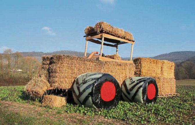 Viel Fantasie beweist ein Landwirt auf seinem Feld bei Spielberg.  Foto: Banholzer