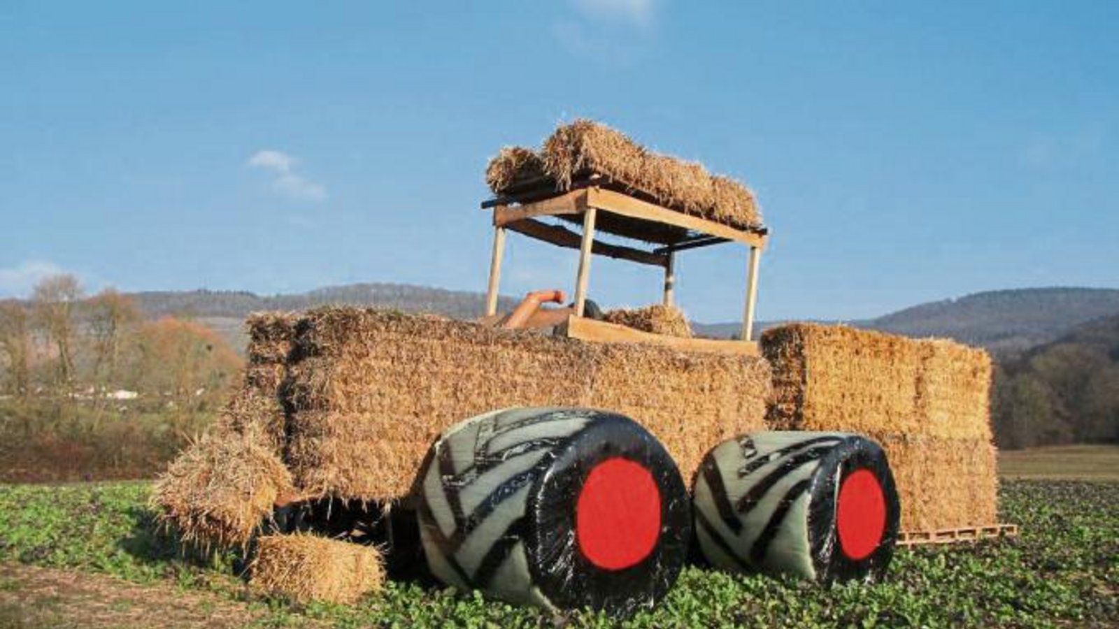 Viel Fantasie beweist ein Landwirt auf seinem Feld bei Spielberg.  Foto: Banholzer