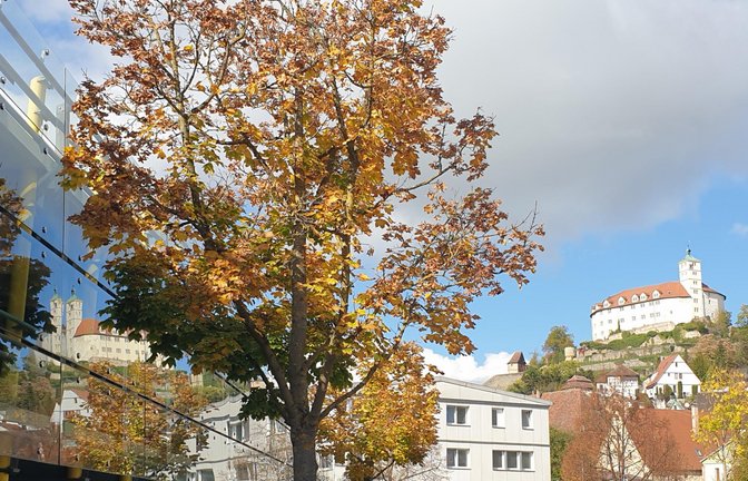 Doppelt schön: Schloss Kaltenstein in der Herbstsonne. <span class='image-autor'>Foto: Rieger</span>