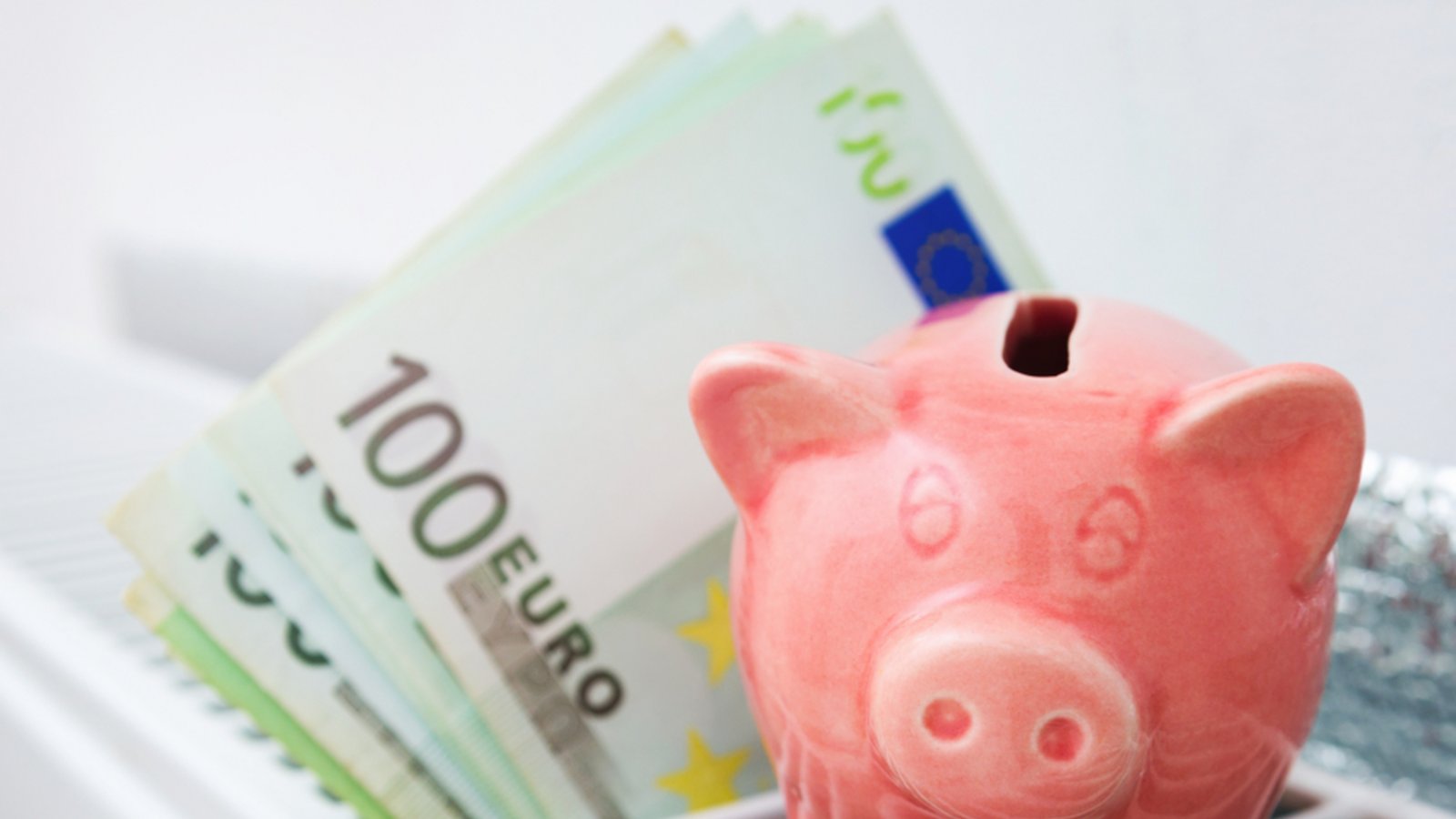 Mit welchen Kosten ist zu rechnen?Foto: Yevhen Prozhyrko / shutterstock.com