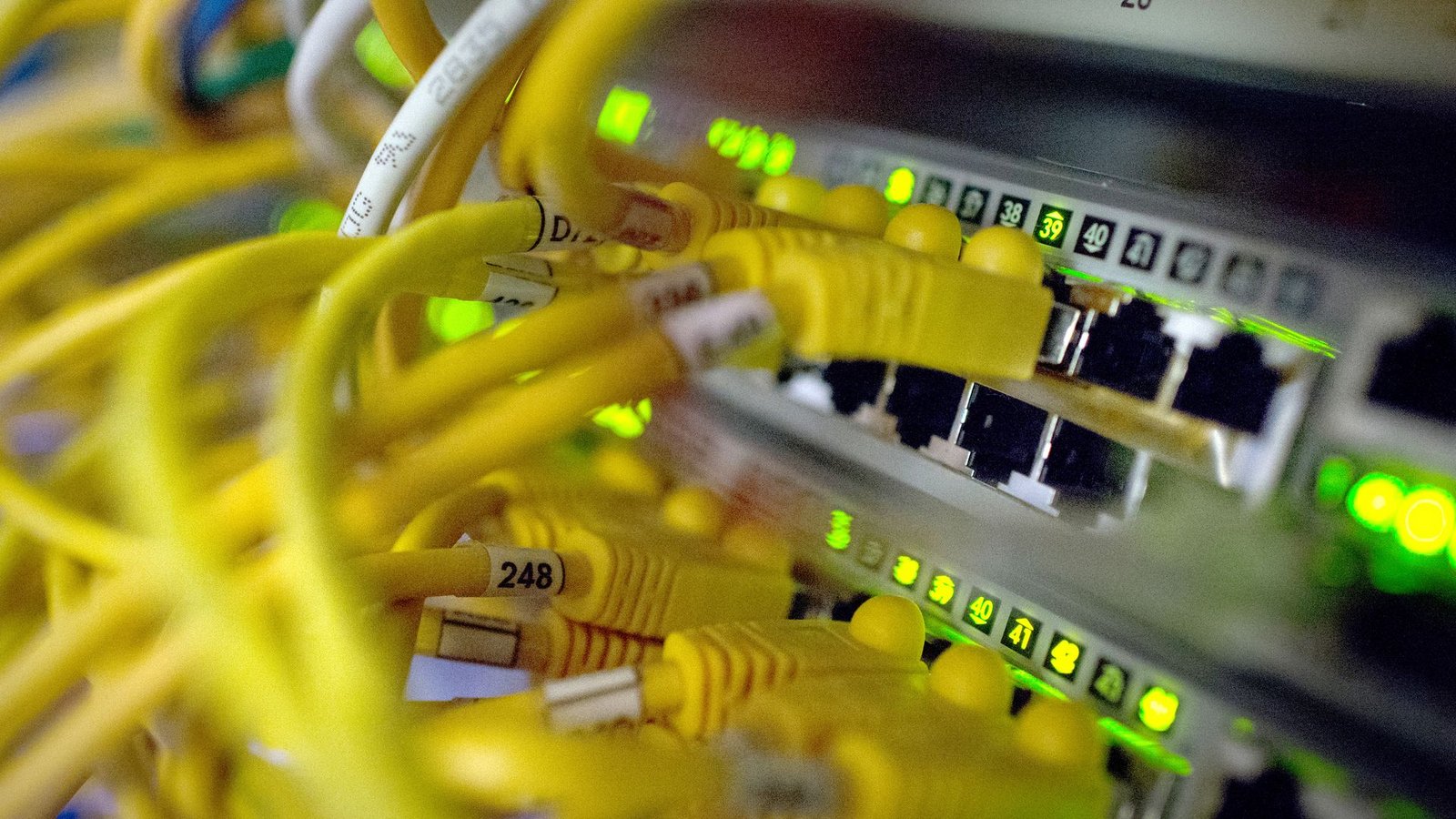 Bisher wagten sich vor allem private Unternehmen oder Fintechs an diese Technologie heran. (Symbolbild)Foto: Matthias Balk/dpa