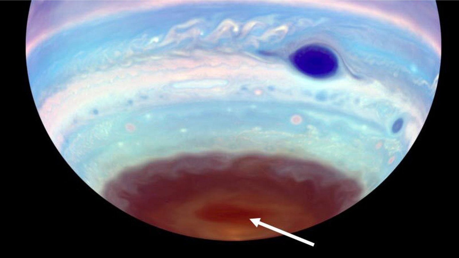 An den Polen des Jupiter haben Astronomen nur im UV-Licht sichtbare dunkle Ovale entdeckt – erdgroße, magnetisch angetriebene Tornados (Pfeil). Der Große Rote Fleck erscheint in dieser kolorierten UV-Aufnahme dunkelblau.Foto: © Troy Tsubota and Michael Wong/UC Berkeley An den Polen des Jupiter haben Astronomen nur im UV-Licht sichtbare dunkle Ovale entdeckt – erdgroße, magnetisch angetriebene Tornados (Pfeil). Der Große Rote Fleck erscheint in dieser kolorierten UV-Aufnahme dunkelblau.Foto: © Troy Tsubota and Michael Wong/UC Berkeley