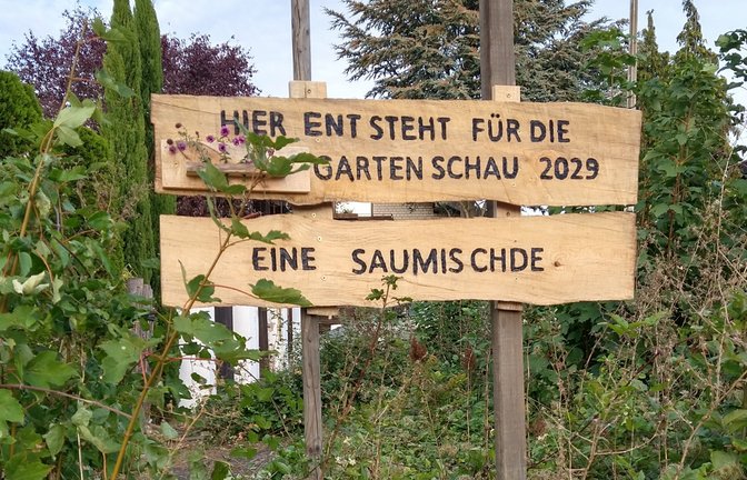 Eine etwas andere Idee für die Gartenschau 2029 hat offensichtlich jemand für einen öffentlichen Platz mit zwei Bänken gehabt, der mittlerweile zugewuchert ist. Mit einem Schild macht der- oder diejenige im Heidenring in Enzweihingen diese Idee publik.  p