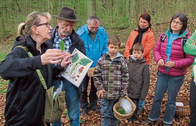 Naturparkführerin Ilse Schopper erklärte den Albvereinsmitgliedern viel über Kräuter.  Foto: p
