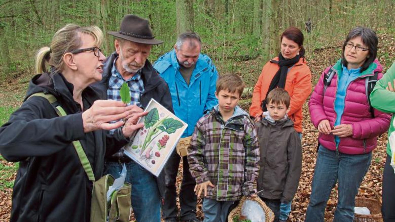 Naturparkführerin Ilse Schopper erklärte den Albvereinsmitgliedern viel über Kräuter. Foto: p Naturparkführerin Ilse Schopper erklärte den Albvereinsmitgliedern viel über Kräuter. Foto: p