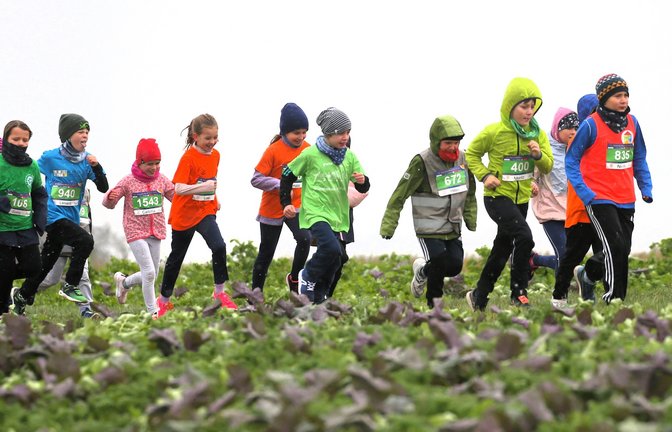 Iiiiiiiih! Kalt und Gegenwind, dazu Schneeflocken auf Augenhöhe. Doch die weitaus meisten der für die Schülerläufe in Nussdorf angemeldeten Kinder trotzen dem Wetter und rennen ihre anderhalb Kilometer. <span class='image-autor'>Fotos: Küppers</span>