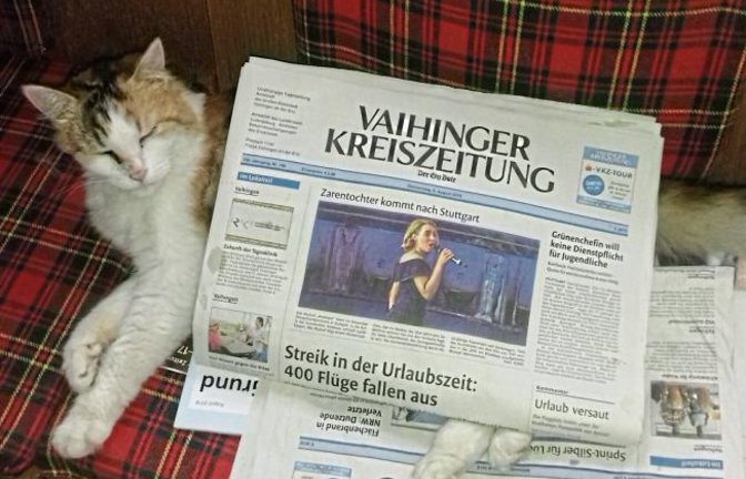 „Unsere Katze liebt die VKZ“, schreibt uns Alicia Hatezic aus Nussdorf. Feger, so der Name des Stubentigers, liege immer gerne auf den Zeitungen und halte dort sein Nickerchen.