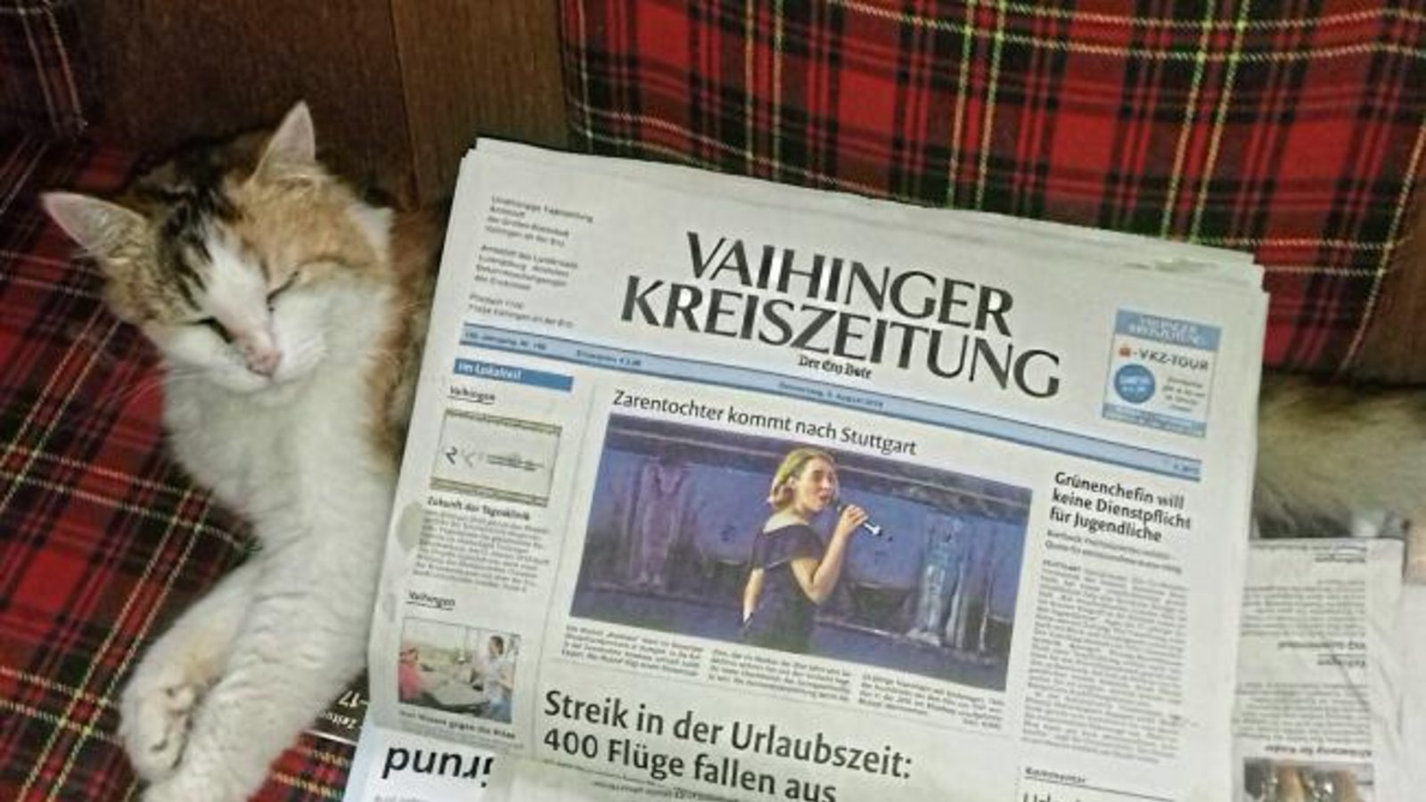 „Unsere Katze liebt die VKZ“, schreibt uns Alicia Hatezic aus Nussdorf. Feger, so der Name des Stubentigers, liege immer gerne auf den Zeitungen und halte dort sein Nickerchen.