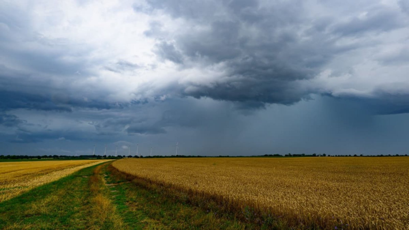 Gewitterwolken ziehen über die Landschaft.Patrick Pleul/dpa