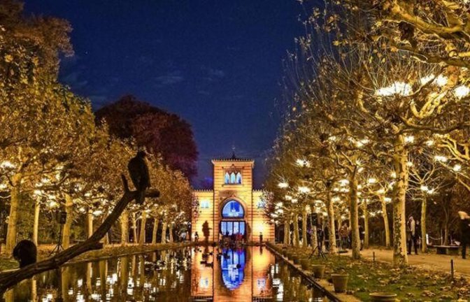 Prächtig: Christmas Garden in der Wilhelma<span class='image-autor'>Foto: Lichtgut/Julian Rettig</span>