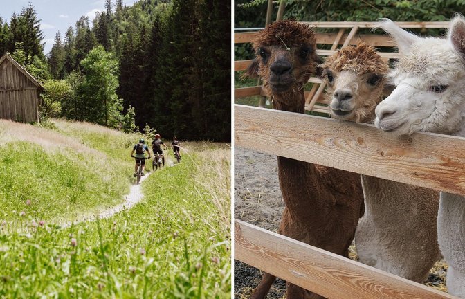 Eine der anstehenden Veranstaltungen: Auf dem Mountain-Bike rund um Baiersbronn.<span class='image-autor'>Foto: Baiersbronn Touristik/Max Günter (li.); Simon Granville (re.)</span>