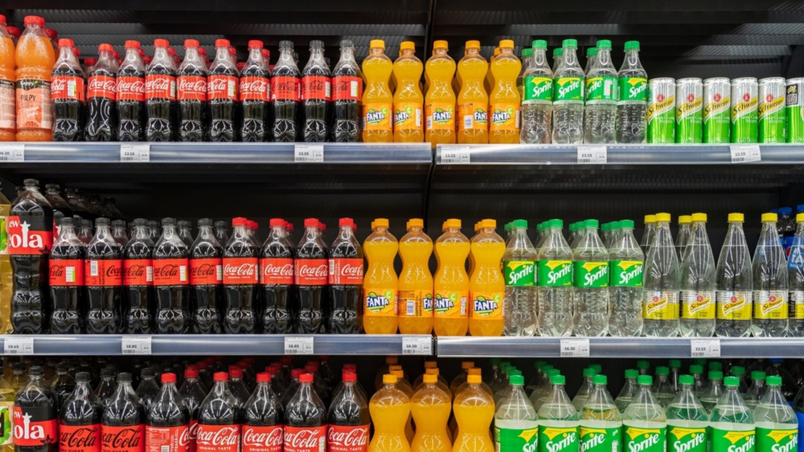 Aktuell werden einige Produkte von Coca-Cola zurückgerufen.Foto: Fotazdymak / shutterstock.com Aktuell werden einige Produkte von Coca-Cola zurückgerufen.Foto: Fotazdymak / shutterstock.com