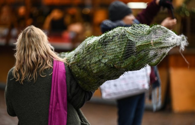 Foto: dpa/Arne Dedert