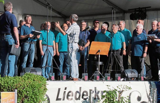 Sänger aus Eberdingen und Detzeln gestalten den musikalischen Auftakt der zweitägigen Hockektse.  Foto: Friedrich