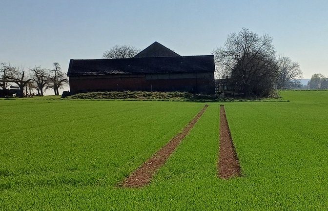 Die Spuren im Acker sehen ein wenig aus wie Kunst – oder wie Zeichen eines Besuchs von Außerirdischen ... wer weiß? <span class='image-autor'>Foto: Rücker</span>