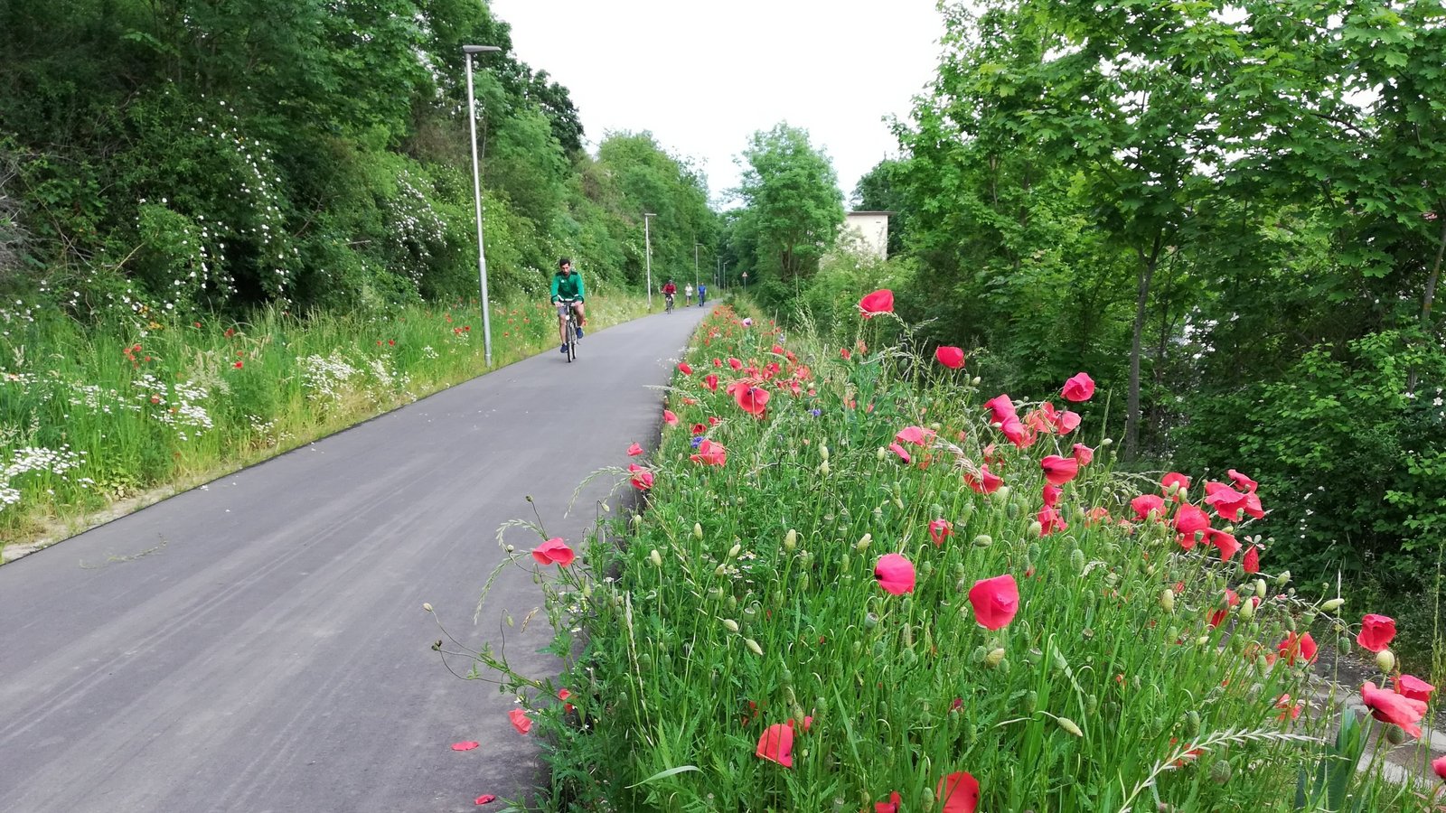 Die 2020 eröffnete Fahrradbahn quer durch Vaihingen wird viel genutzt. Das könnte zur besseren Bewertung beigetragen haben. Foto: Arning