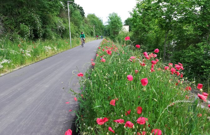 Die 2020 eröffnete Fahrradbahn quer durch Vaihingen wird viel genutzt. Das könnte zur besseren Bewertung beigetragen haben. <span class='image-autor'>Foto: Arning</span>