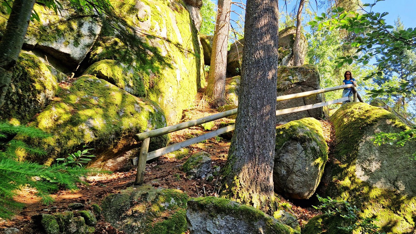 Die Walderlebnistour führt auf dem Kappelrodecker Hexensteig und auf dem Felsenweg durch verwunschene LandschaftenFoto: Günther Weinert/Weinert Die Walderlebnistour führt auf dem Kappelrodecker Hexensteig und auf dem Felsenweg durch verwunschene LandschaftenFoto: Günther Weinert/Weinert