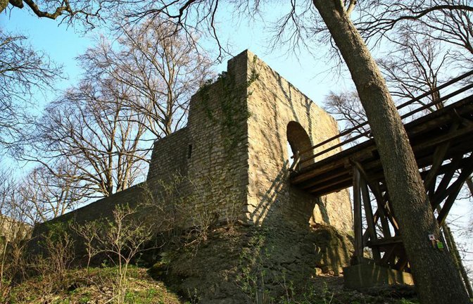Die Ruine Diepoldsburg, eine frühere Doppelburg, besteht aus  der Oberen und   Unteren Diepoldsburg, auch Burg Rauber genannt.<span class='image-autor'>Foto: Dieter/Buck</span>