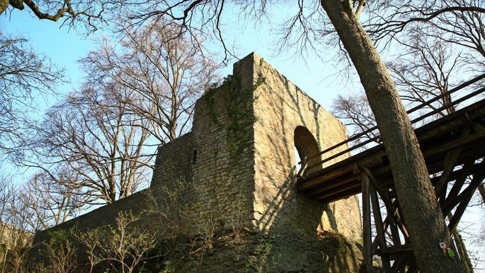 Die Ruine Diepoldsburg, eine frühere Doppelburg, besteht aus  der Oberen und   Unteren Diepoldsburg, auch Burg Rauber genannt.Foto: Dieter/Buck