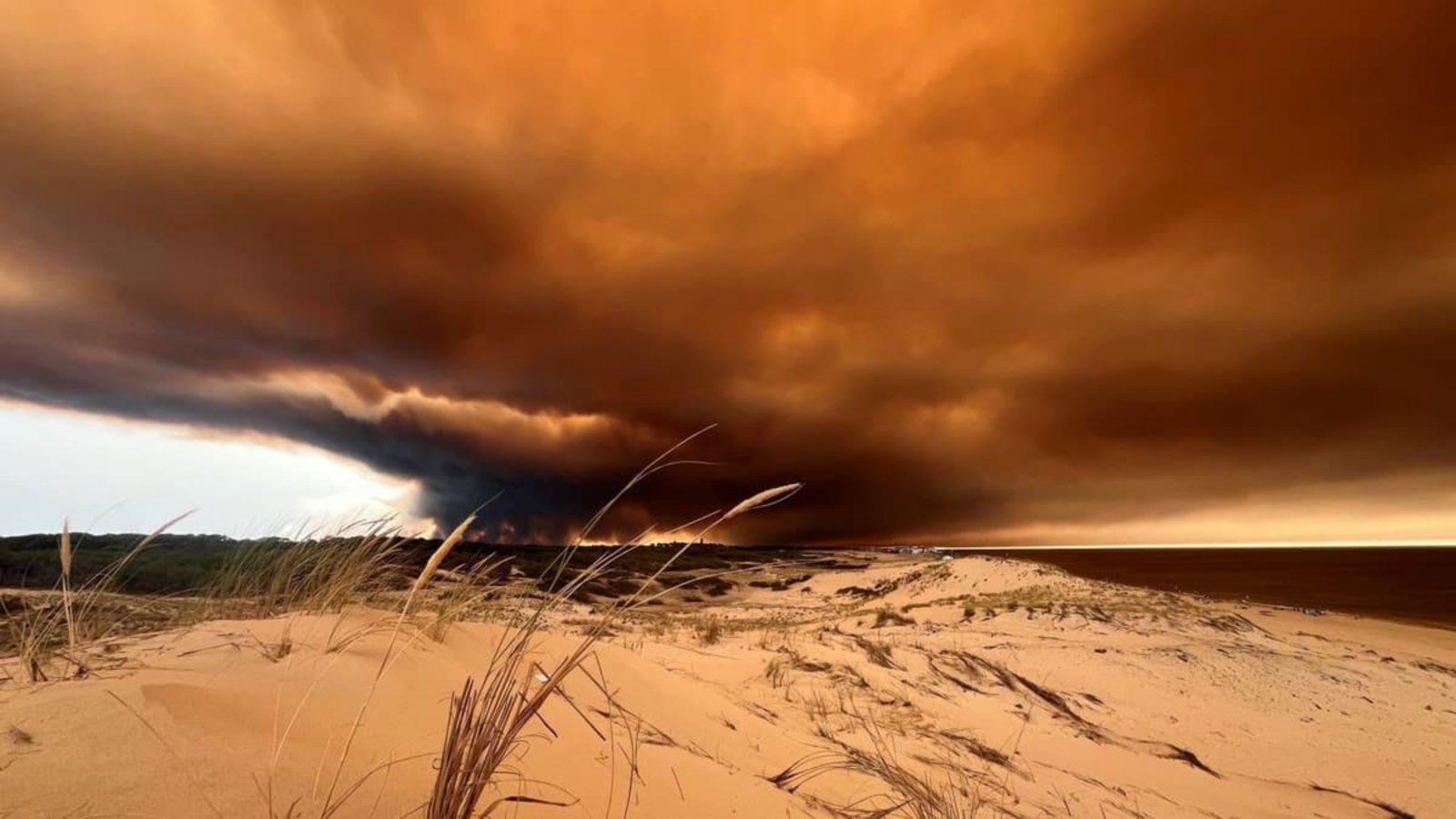 Rauchwolken von den Waldbränden südöstlich des Badeortes Lacanau-Ocean (hinten, r) verdunkeln den Himmel, während sie über die Dünen am Nordstrand hinwegziehen.Jan Athmann/dpa