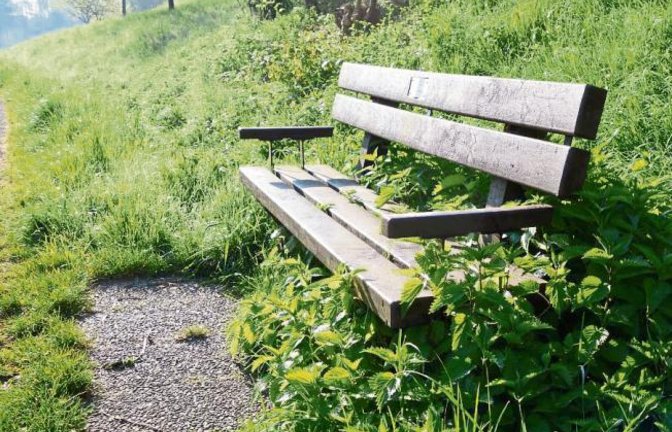 In Aurich gibt’s die handfeste Bedeutung von „in die Nesseln setzen“.  Foto: Rücker
