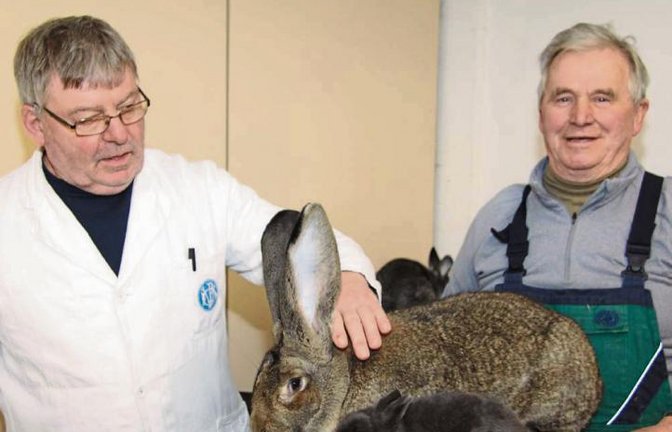 Wertungsrichter Klaus Schmidhuber (links) und Züchter Kurt Essich mit dem größten und kleinsten Tier der diesjährigen Kreisschau.  Fotos: Gergen
