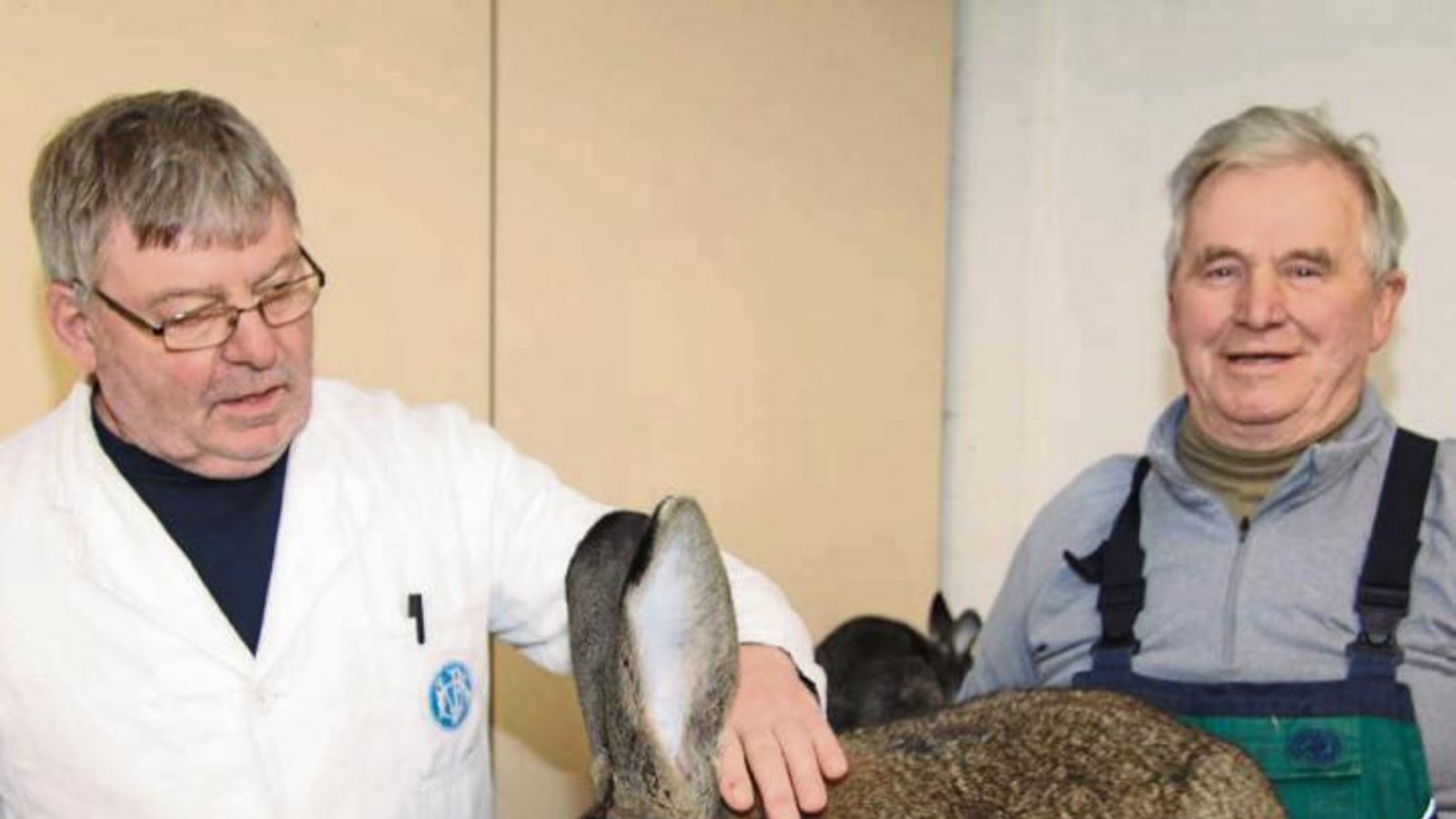 Wertungsrichter Klaus Schmidhuber (links) und Züchter Kurt Essich mit dem größten und kleinsten Tier der diesjährigen Kreisschau. Fotos: Gergen Wertungsrichter Klaus Schmidhuber (links) und Züchter Kurt Essich mit dem größten und kleinsten Tier der diesjährigen Kreisschau. Fotos: Gergen