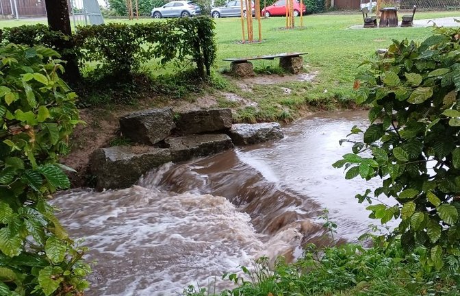 Nach dem Regen führt der Kreuzbach am Donnerstag kurzzeitig mehr Wasser. Foto: Rücker