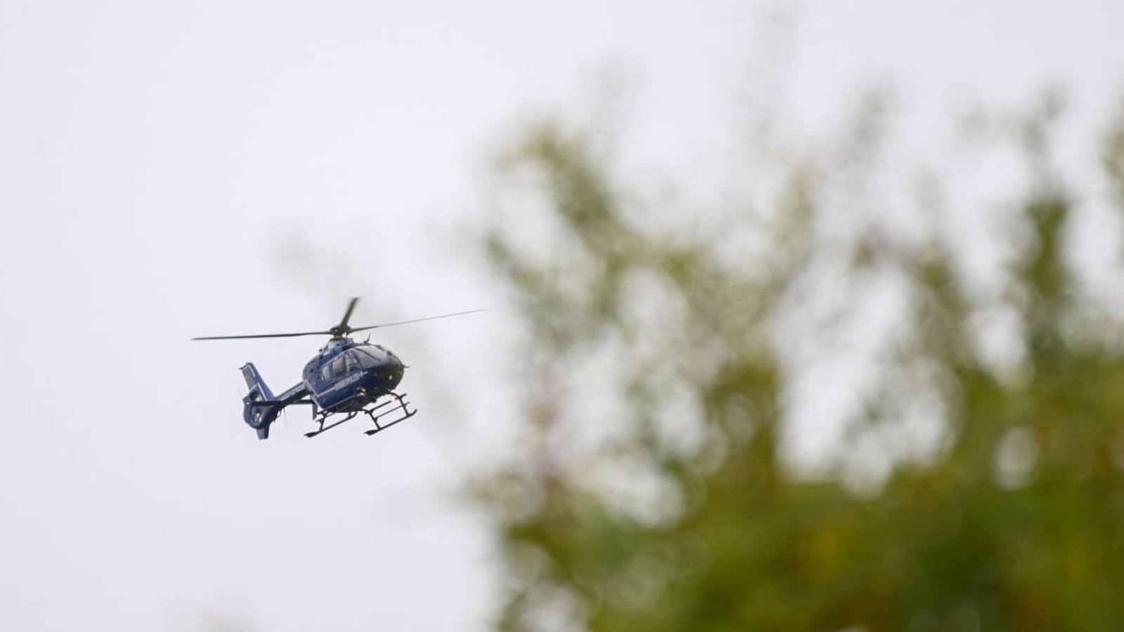 Nachdem ein 23-Jähriger am Freitag mit seinem Wagen verunfallte, flüchtete er zu Fuß in den angrenzenden Wald. Trotz Hubschrauber und Hunden blieb die Suche nach ihm erfolglos.Heiko Rebsch/dpa