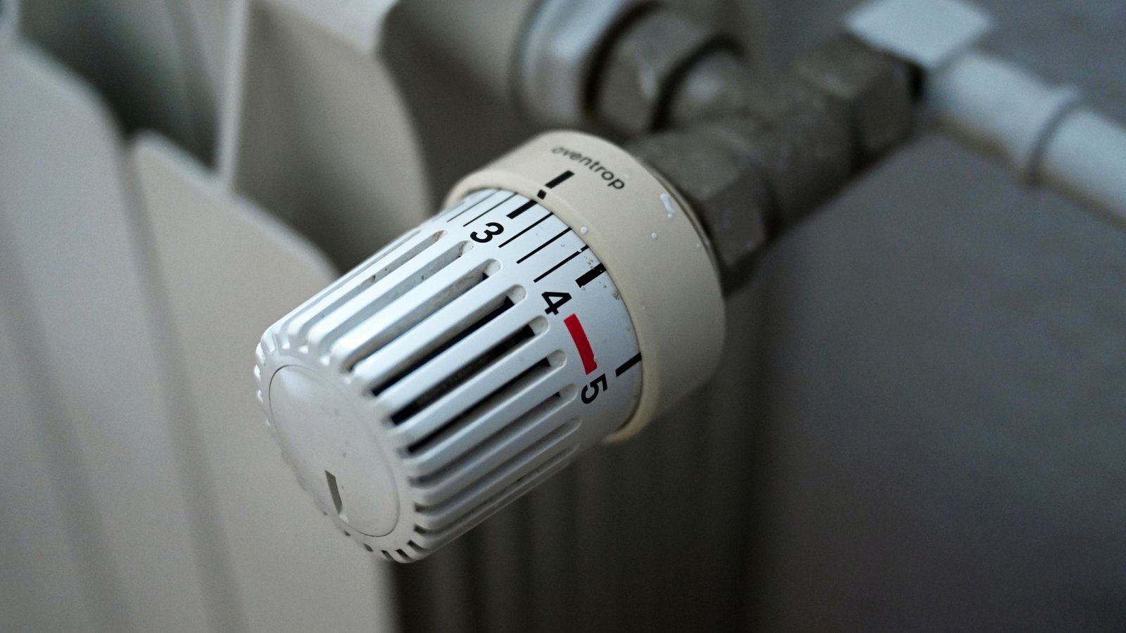 Wer trägt die Kosten durch den steigenden CO2-Preis? Der WWF hat Ideen. (Symbolfoto)Foto: Elisa Schu/dpa