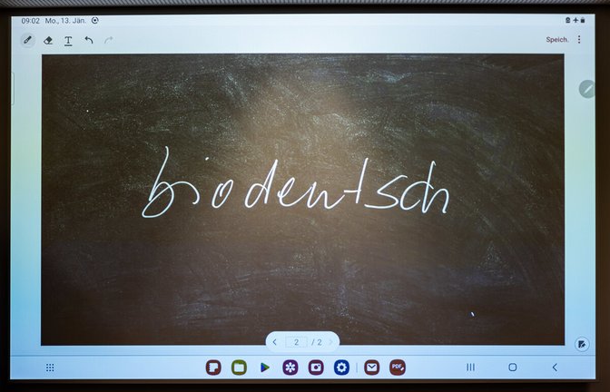 Das Unwort des Jahres kommt auf den ersten Blick harmlos daher.<span class='image-autor'>Foto: dpa/Christian Lademann</span>
