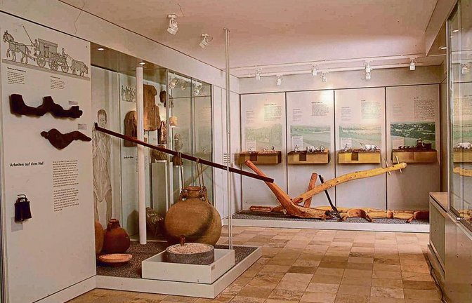„Lupercalia“ wird am Sonntag im Oberriexinger Römerkeller gefeiert. Foto: Museum
