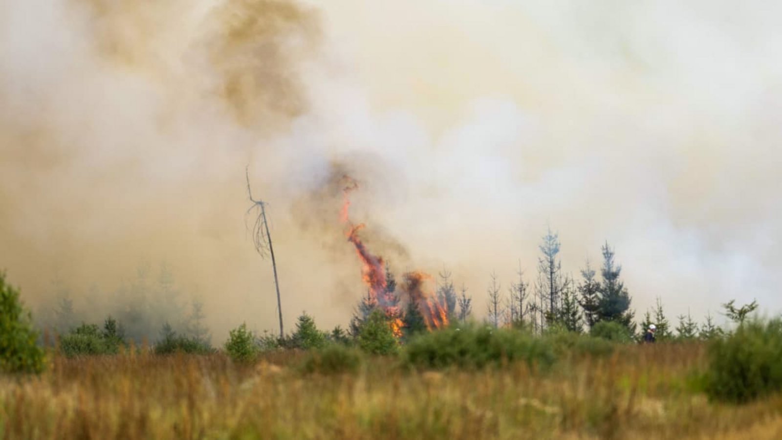 Flammen schlagen hoch in der Hochmoor- und Sumpflandschaft Hohe Venn unweit der deutschen Grenze. Wegen der Ausbreitung eines großen Waldbrandes von Belgien in Richtung Deutschland ist die Lage angespannt.Christoph Reichwein/dpa Flammen schlagen hoch in der Hochmoor- und Sumpflandschaft Hohe Venn unweit der deutschen Grenze. Wegen der Ausbreitung eines großen Waldbrandes von Belgien in Richtung Deutschland ist die Lage angespannt.Christoph Reichwein/dpa