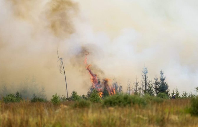 Flammen schlagen hoch in der Hochmoor- und Sumpflandschaft Hohe Venn unweit der deutschen Grenze. Wegen der Ausbreitung eines großen Waldbrandes von Belgien in Richtung Deutschland ist die Lage angespannt.<span class='image-autor'>Christoph Reichwein/dpa</span>