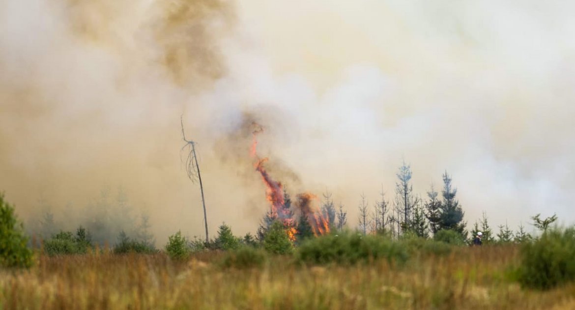 Flammen schlagen hoch in der Hochmoor- und Sumpflandschaft Hohe Venn unweit der deutschen Grenze. Wegen der Ausbreitung eines großen Waldbrandes von Belgien in Richtung Deutschland ist die Lage angespannt.