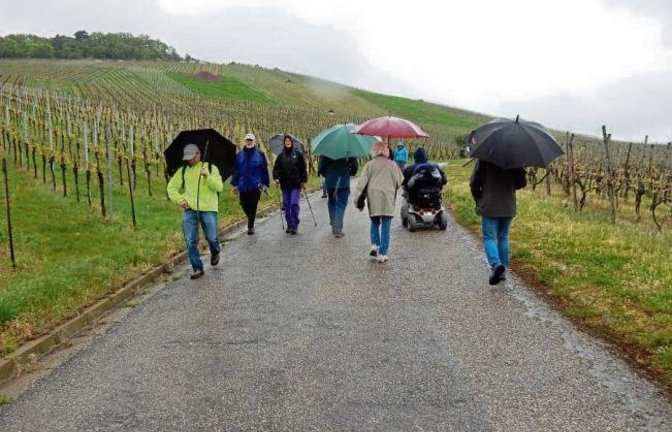Trotz Dauerregen ließen Spaziergänger in Horrheim die Maiwanderung nicht ins Wasser fallen. Durch die Weinberge ging es zum Klosterbergfest.  Foto: Bernhard Faigle