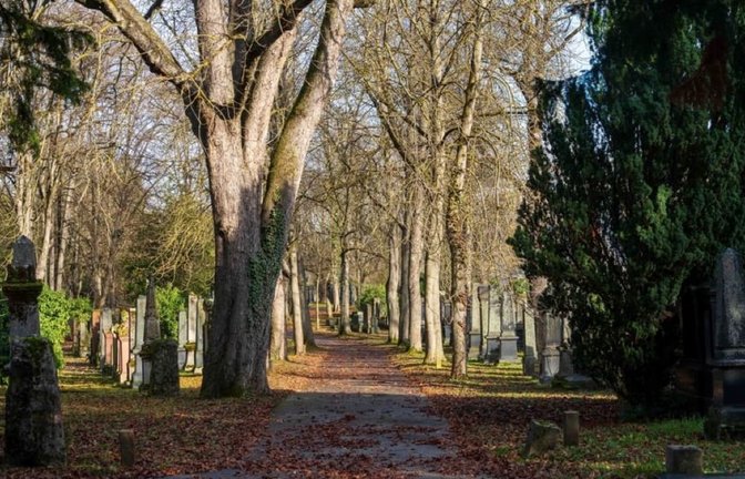 In der Hitze ein kühler Ort: der Pragfriedhof Stuttgart (Archivbild).<span class='image-autor'>Zack Frank/ Shutterstock</span>