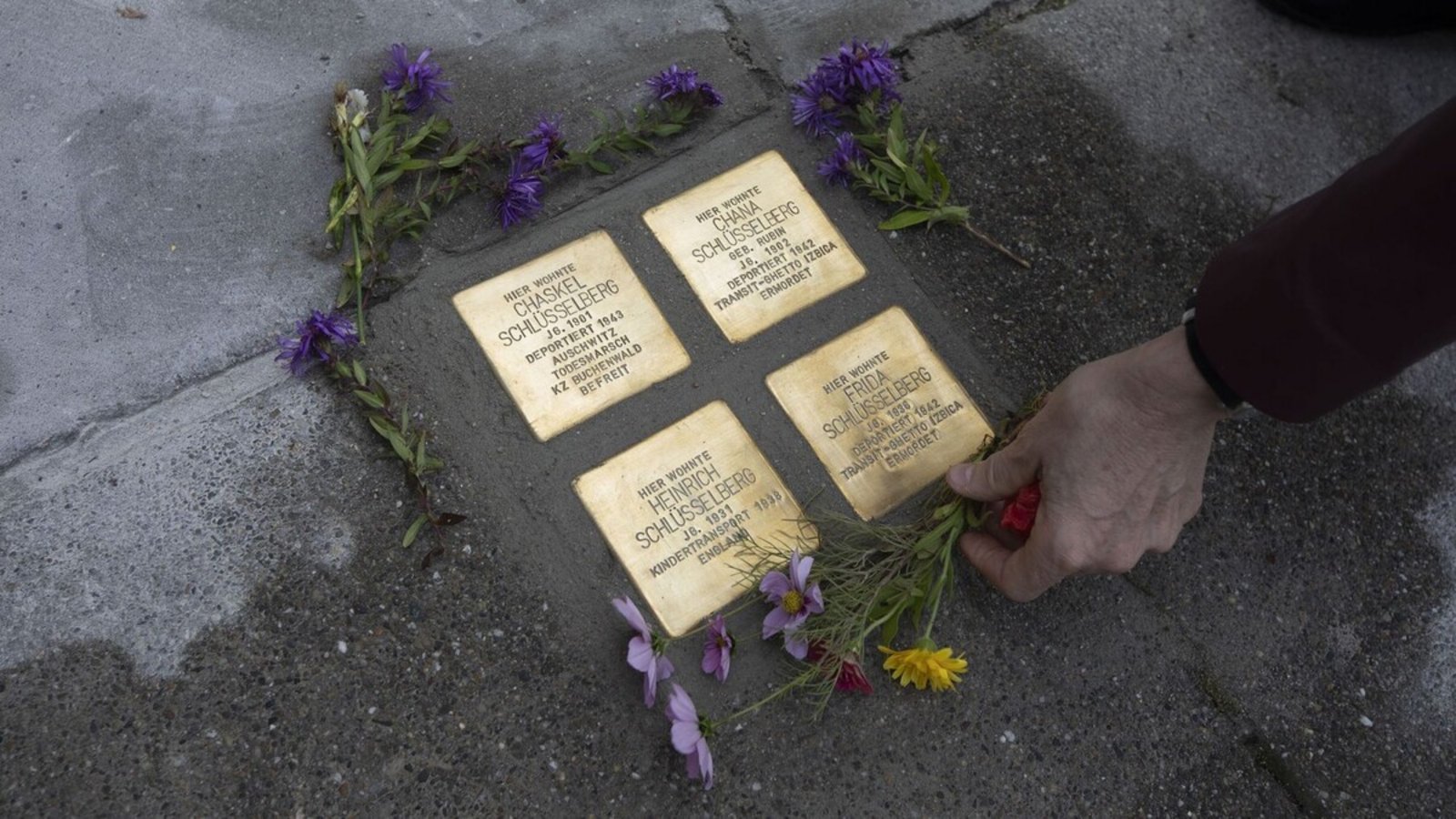 Vier von inzwischen 1083 Stolpersteinen in Stuttgart.Foto: Lichtgut/Leif Piechowski Vier von inzwischen 1083 Stolpersteinen in Stuttgart.Foto: Lichtgut/Leif Piechowski