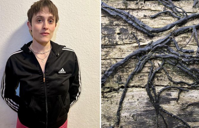 Die Tänzerin und Choreografin Stella Covi ist fasziniert von den Netzwerken, die Pilze wie der Hallimasch bilden.<span class='image-autor'>Foto: Stella Covi, imago/imagebroker</span>