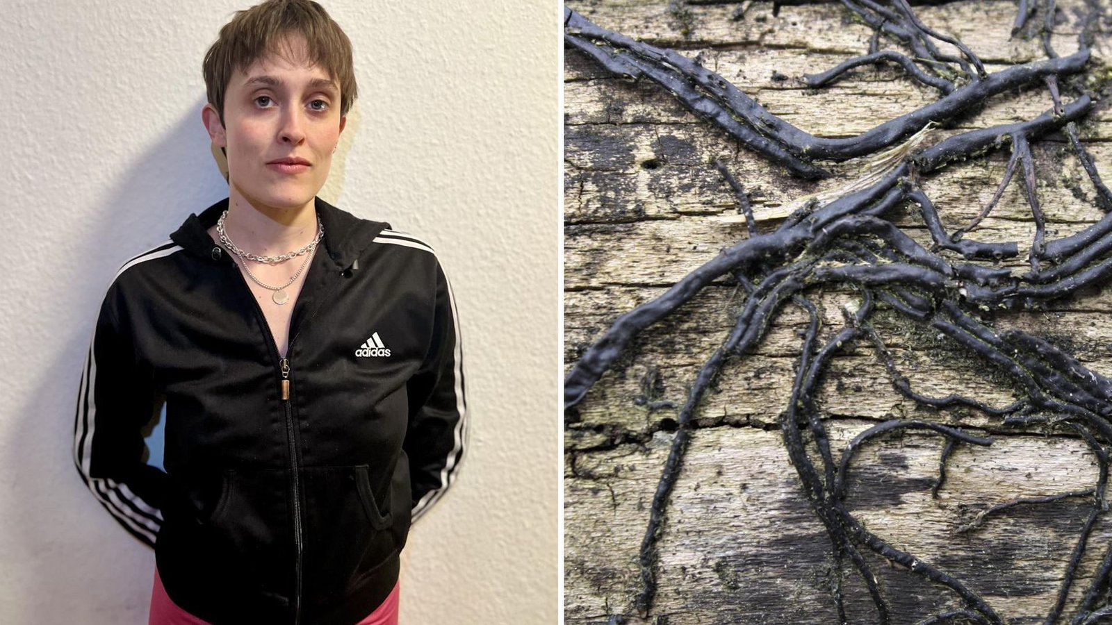 Die Tänzerin und Choreografin Stella Covi ist fasziniert von den Netzwerken, die Pilze wie der Hallimasch bilden.Foto: Stella Covi, imago/imagebroker