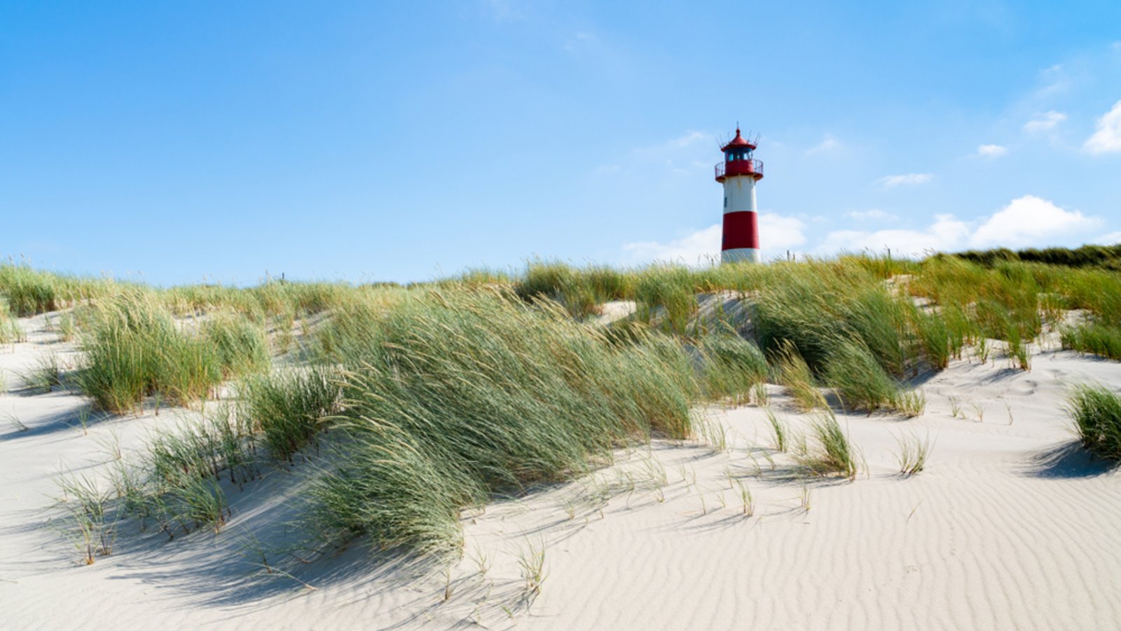 Nach Sylt mit dem Zug.Foto: Ryszard Filipowicz / shutterstock.com Nach Sylt mit dem Zug.Foto: Ryszard Filipowicz / shutterstock.com